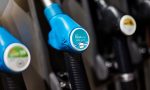Combustibles renovables: una alternativa inmediata para descarbonizar la movilidad